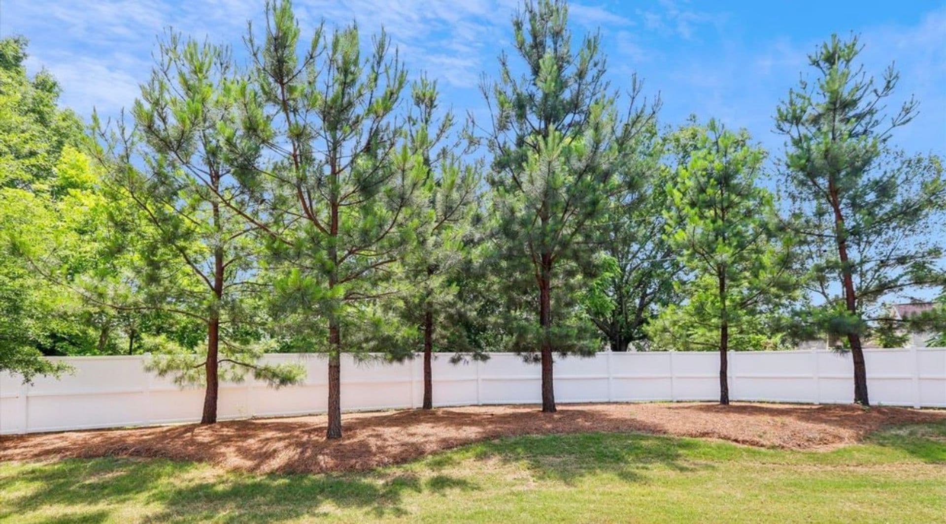 7237 Jane Parks Way — photo 2
